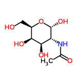 n acetil galactosamina simbolo